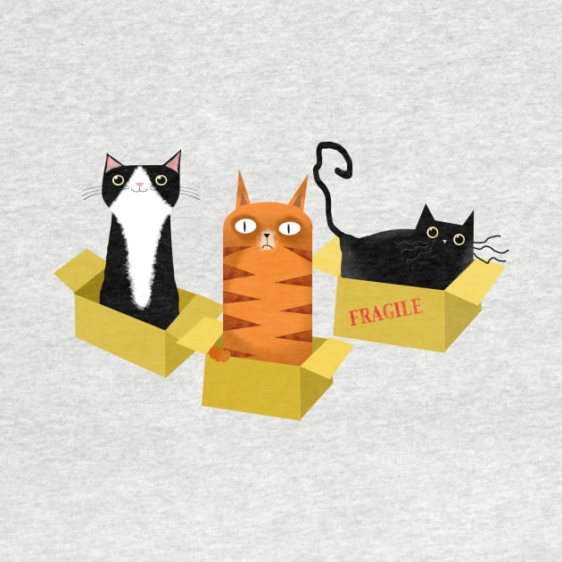 Cats in Boxes by Scratch